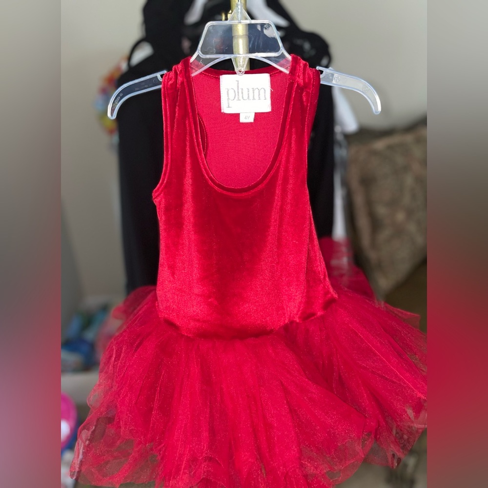 Plum red velvet tutu dress